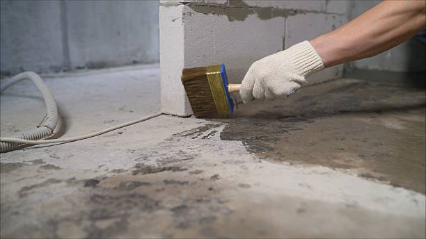 24/7 Emergency Basement Waterproofing experts in Arlington, WA